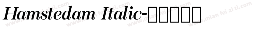 Hamstedam Italic字体转换